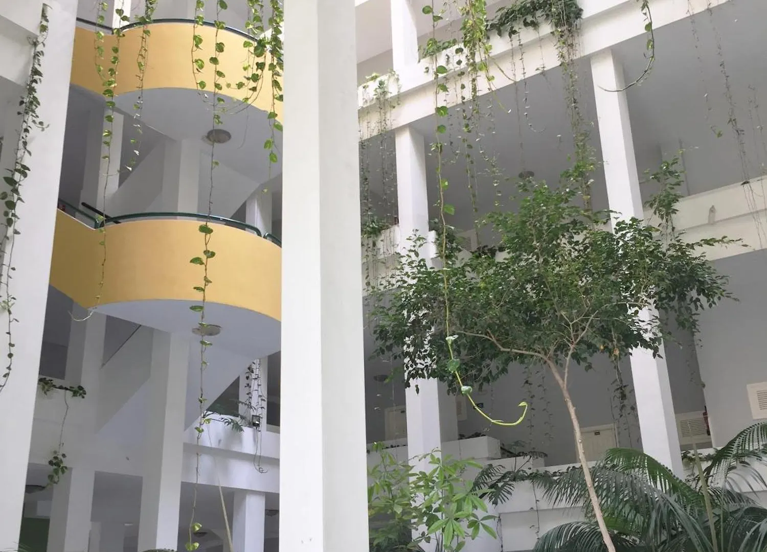 Apartamentos Bahia Playa Пуэрто-де-ла-Крус